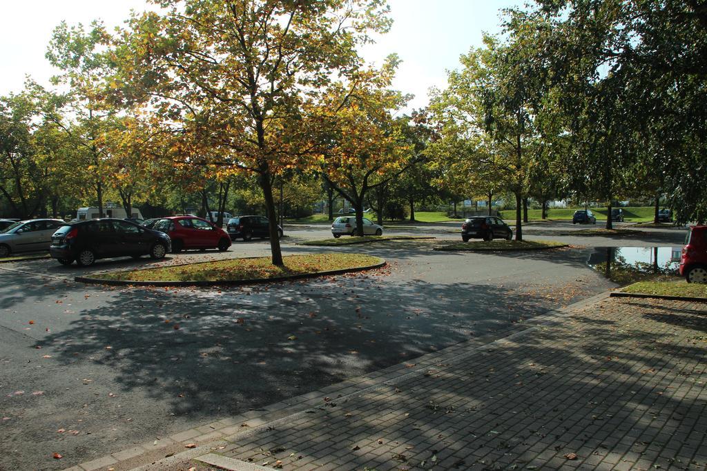 Salzzimmer Dortmund Oda fotoğraf